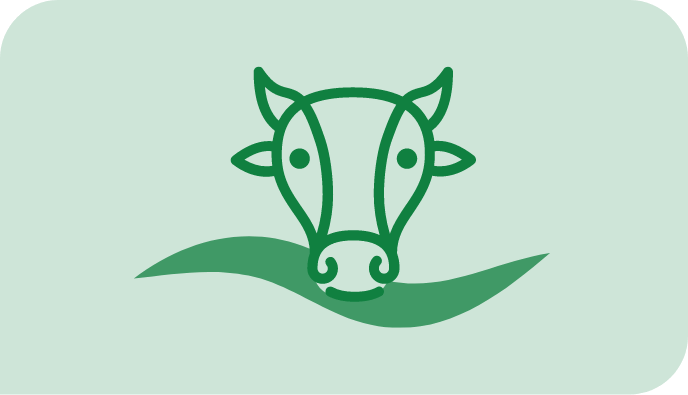 A cow's head on a green background