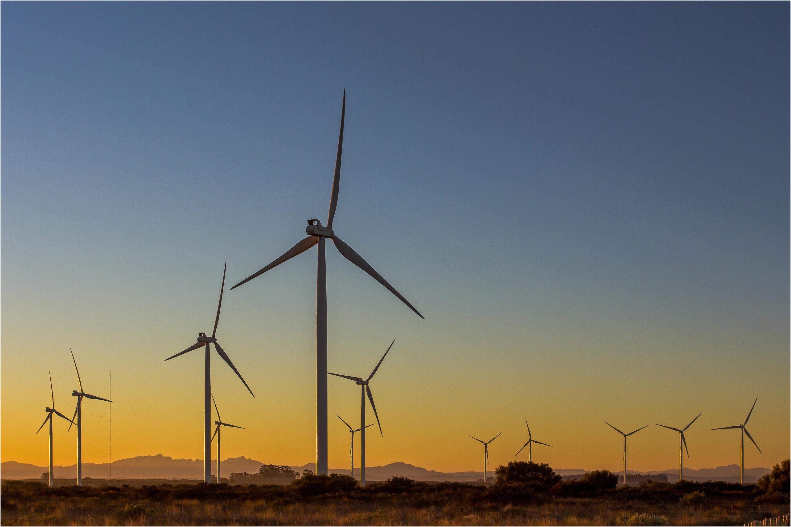 Windmill Farm at Daybreak