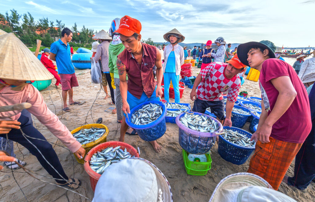 People gathered for fish market session