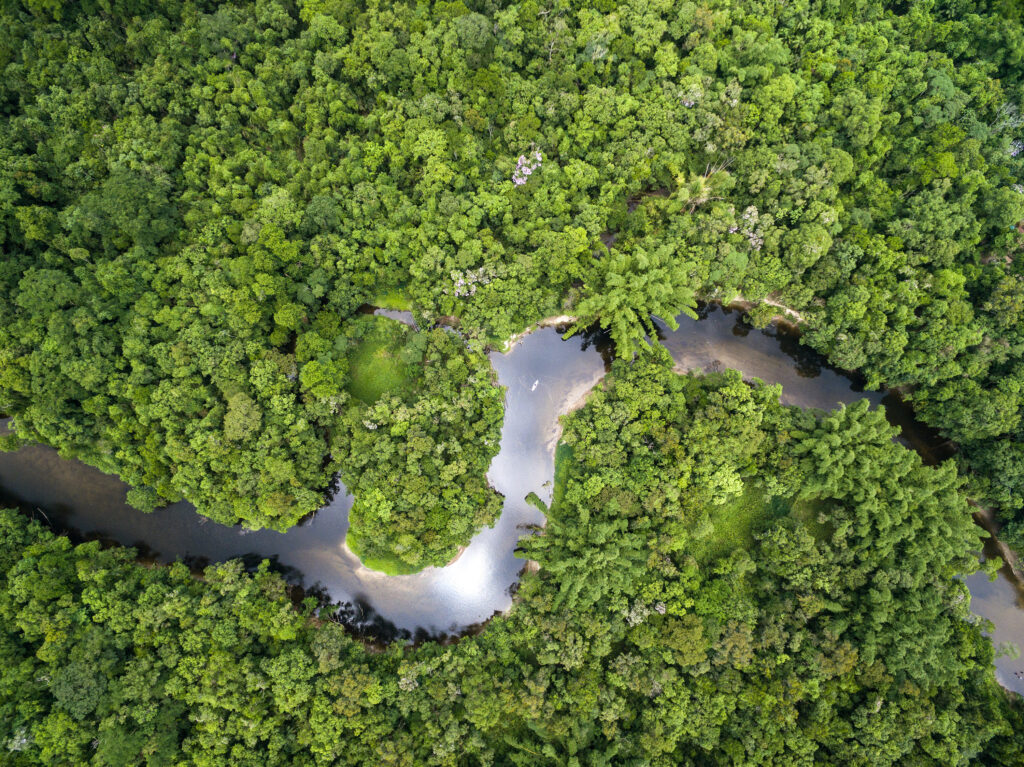 Aerial View of Rainforest in Brazil