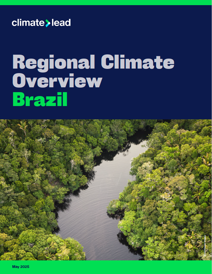 brazil overview