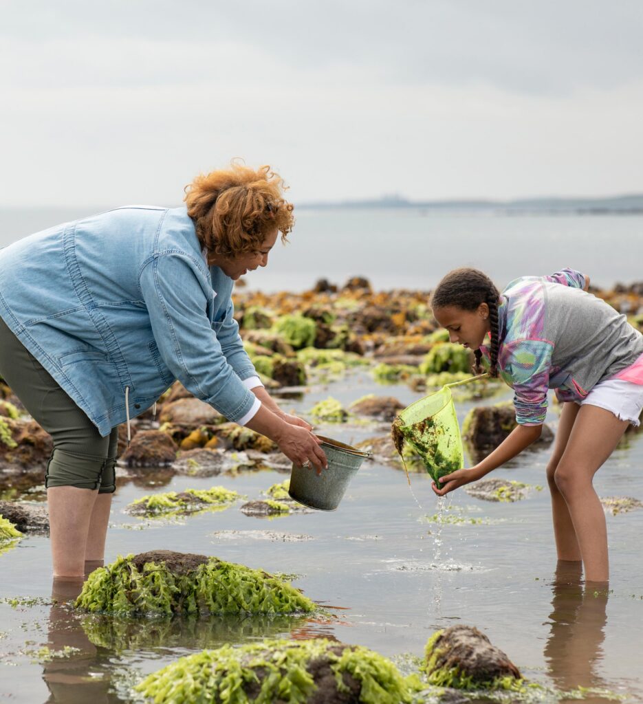 A woman and girl standing in shallow water at the shore with a net and bucket.